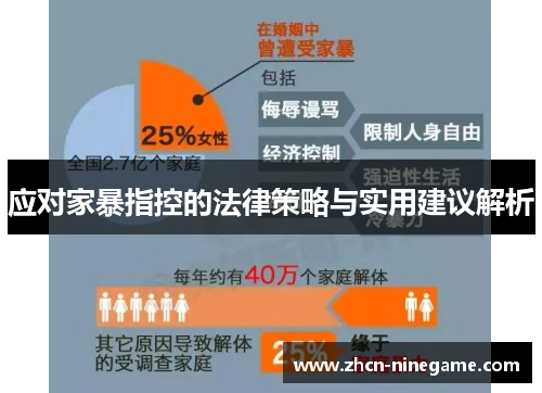 应对家暴指控的法律策略与实用建议解析